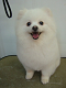 DSCF9911[1]_thumb.png